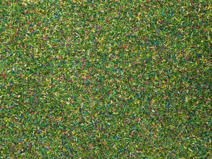 Noch statisches Gras „Blühwiese“ 150 g