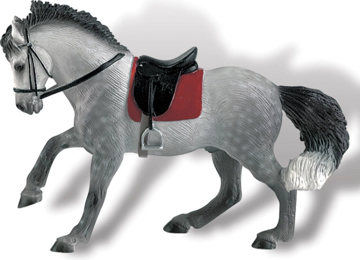 Andalusischer Wallach