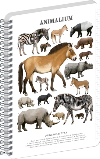 Notique Spiralblock Animalium – Unpaarhufer, A5, kariert