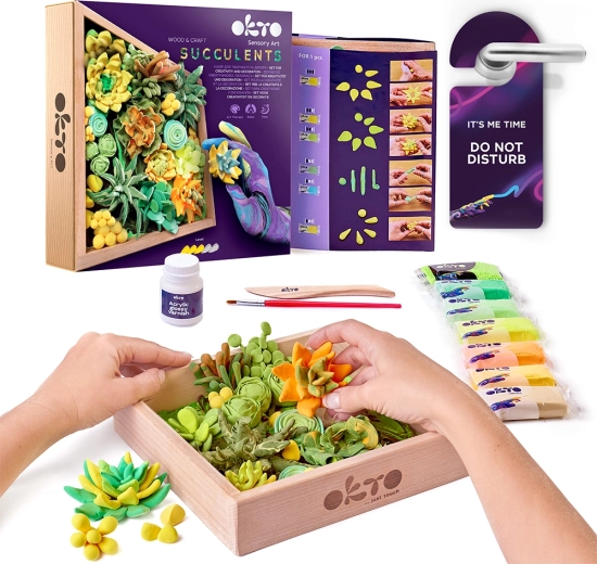 OKTO Energy kreative Modellierset mit Sukkulenten im Holzrahmen