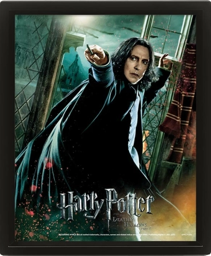 3D Bild HARRY POTTER – Severus Snape