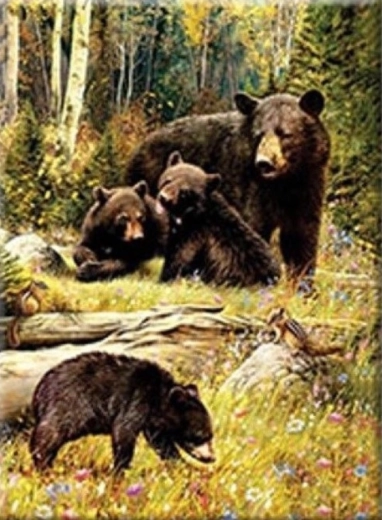 Diamantmalerei – Bären auf der Lichtung 30 × 40 cm