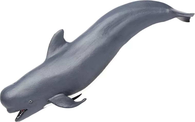 Safari Ltd. Figur Kugelkopf-Delfin – 1 Stück