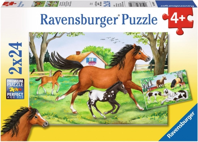 RAVENSBURGER Puzzle Pferdewelt 2×24 Teile