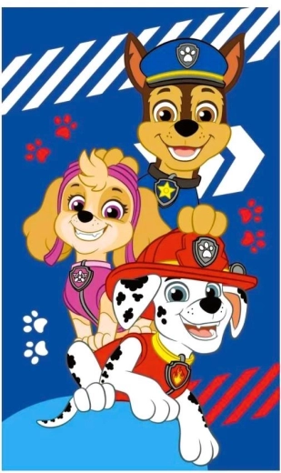 Handtuch Paw Patrol