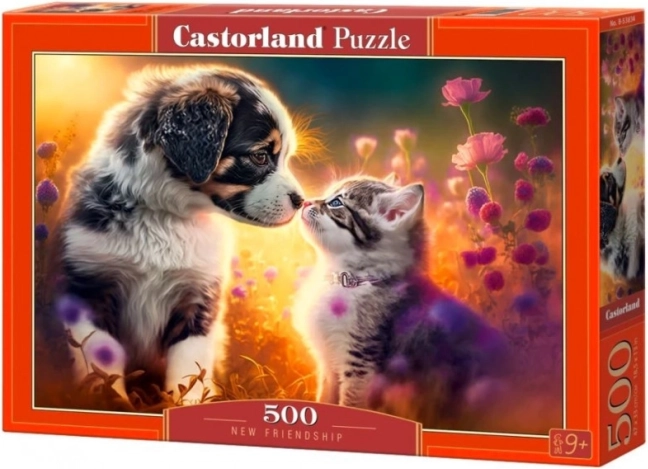 Puzzle 500 Teile CASTORLAND – Neue Freundschaft (Hund und Katze)