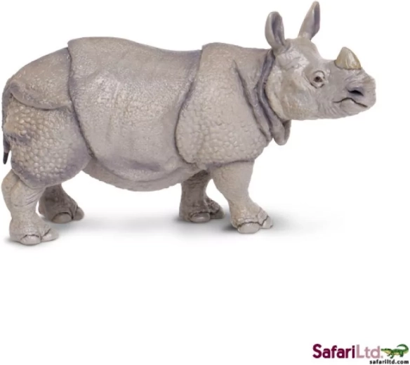 Indisches Nashorn