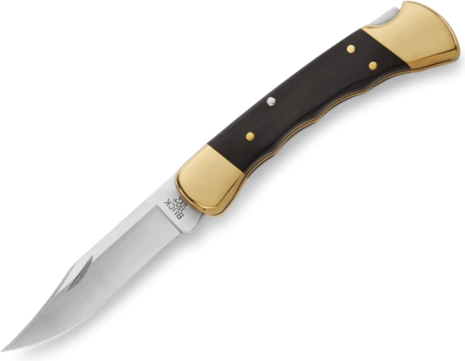 Buck 110 Folding Hunter Finger Grooved Klapp-Jagdmesser mit Scheide
