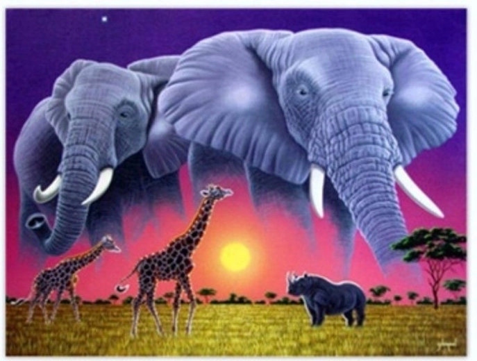 Norimpex Malen nach Zahlen Elefanten 40 × 50 cm