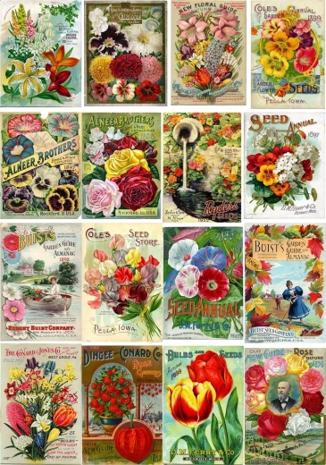Enjoy Puzzle Vintage-Päckchen mit Blumensamen, 1000 Teile