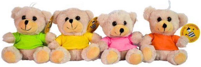 Monatlicher Teddybär im T-Shirt