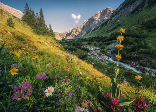 Magisches Hang-Puzzle 1000 Teile