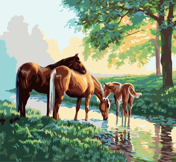 Malen nach Zahlen Pferdefamilie am Bach 40 × 50 cm