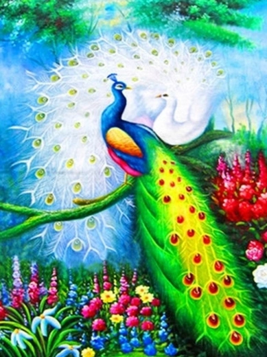 Diamantmalerei – Pfauen 30 × 40 cm