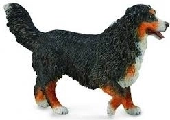Collecta Berner Sennenhund Figur