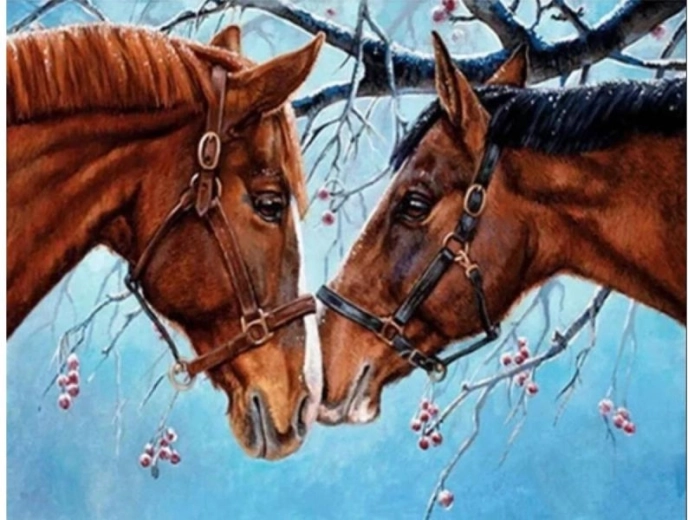 Malen nach Zahlen auf Leinwand – Zwei Pferde 50 × 40 cm