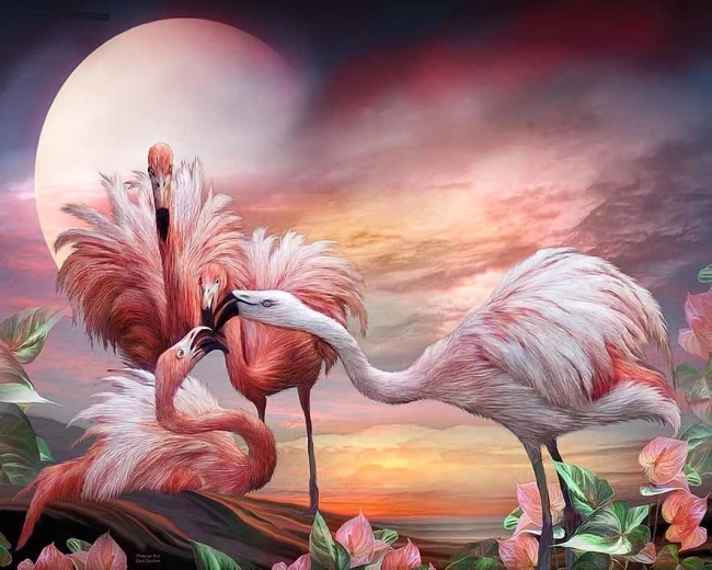Norimpex Malen nach Zahlen Flamingos 40 × 50 cm