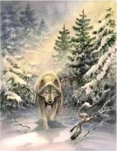 Norimpex Malen nach Zahlen Wolf im Wald 40 × 50 cm