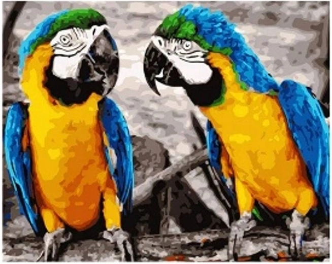 Diamantmalerei Papageien 30 × 40 cm
