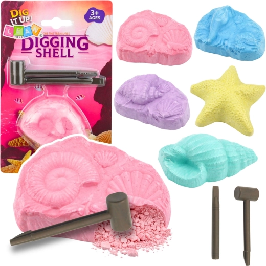 Archäologie-Set Meeresfossilien – Ausgrabungsset mit Muscheln und Werkzeugen