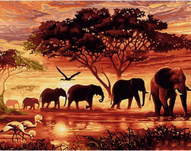 Norimpex Malen nach Zahlen Elefantenherde bei Sonnenuntergang 40 × 50 cm