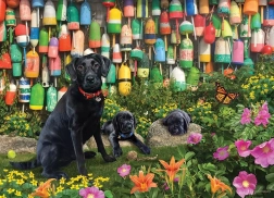 Puzzle COBBLE HILL Brave Jungs 500 Teile