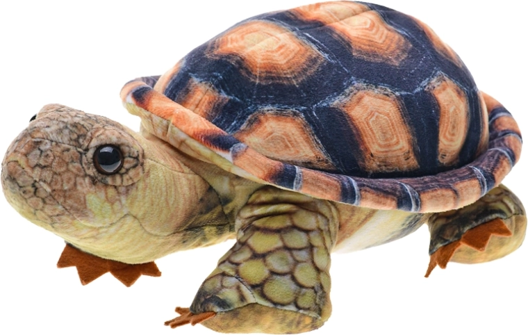 Plüschschildkröte 25 cm für Babys und Kinder