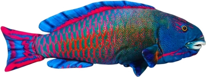 Blauer Plüsch-Meerfisch 50 cm