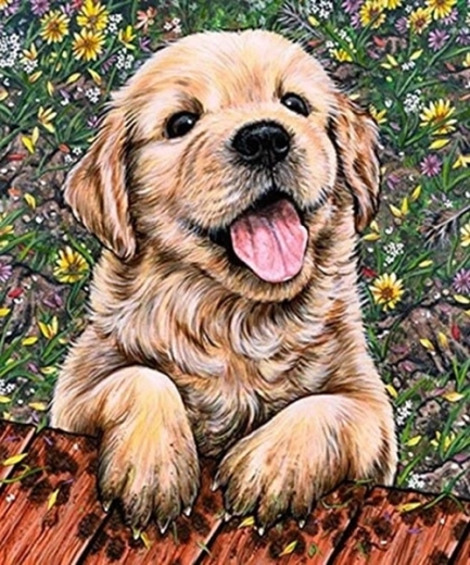Diamantmalerei Labrador-Welpe 30 × 40 cm