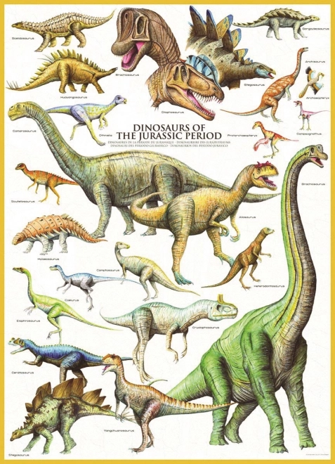 Eurographics Puzzle Dinosaurier aus der Jura-Zeit 1000 Teile