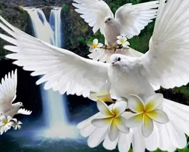 Diamantmalerei Weiße Tauben 30 × 40 cm