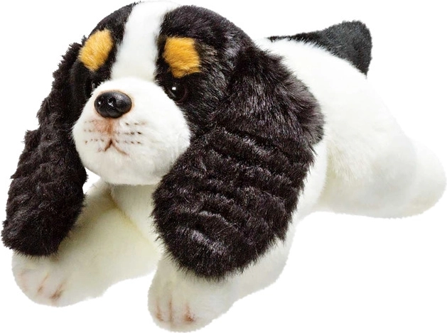 Plüschhund Cavalier King Charles Spaniel 30 cm