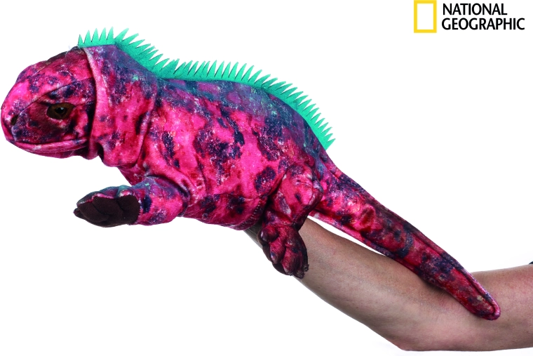 National Geographic Handpuppe Leguan