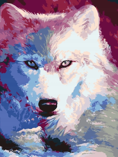Malen nach Zahlen Schatten des weißen Wolfs 40 × 50 cm