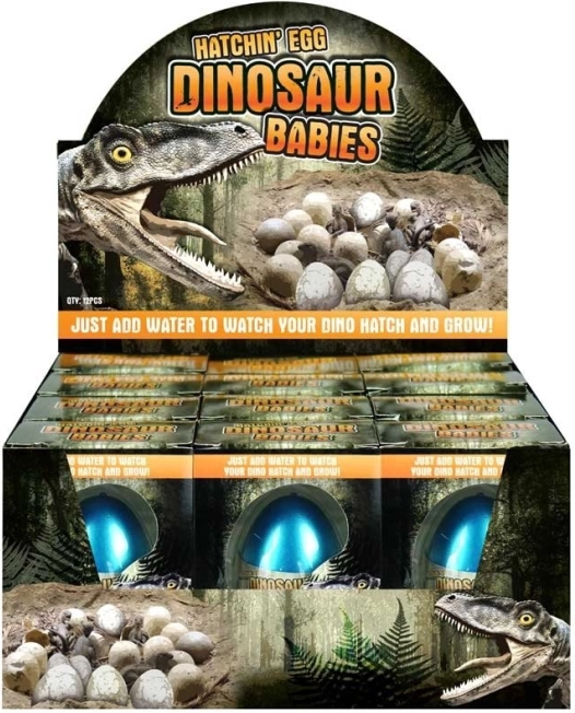 Wachsendes Dinosaurier-Ei – Überraschung im Wasser