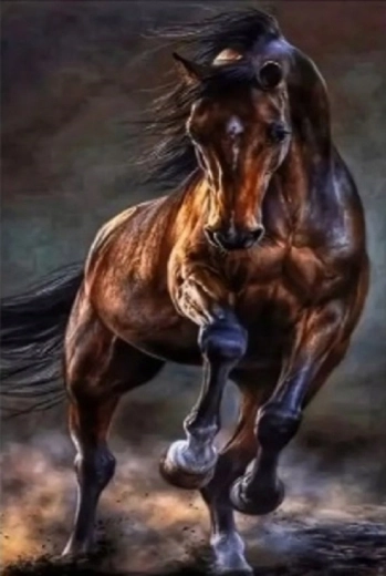 Norimpex Diamantmalerei Wildpferd 30 × 40 cm