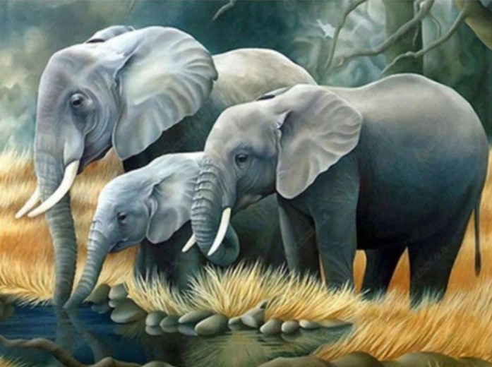 Norimpex Malen nach Zahlen Elefantenfamilie am Fluss 40 × 50 cm