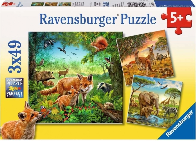 Ravensburger Puzzle Tiere 3×49 Teile