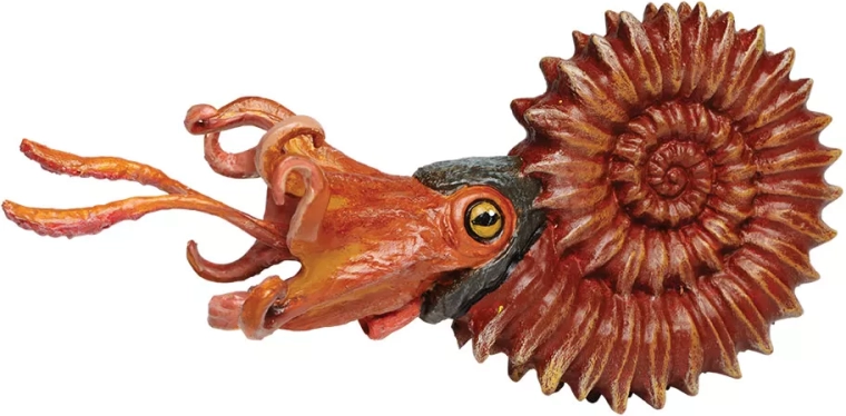 Safari Ltd. Ammonit – handbemalte Figur