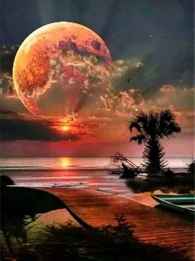 Norimpex Malen nach Zahlen Mond über der Küste 40 × 50 cm