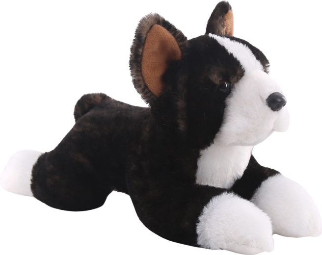 Plüschiger Boston Terrier 25 cm
