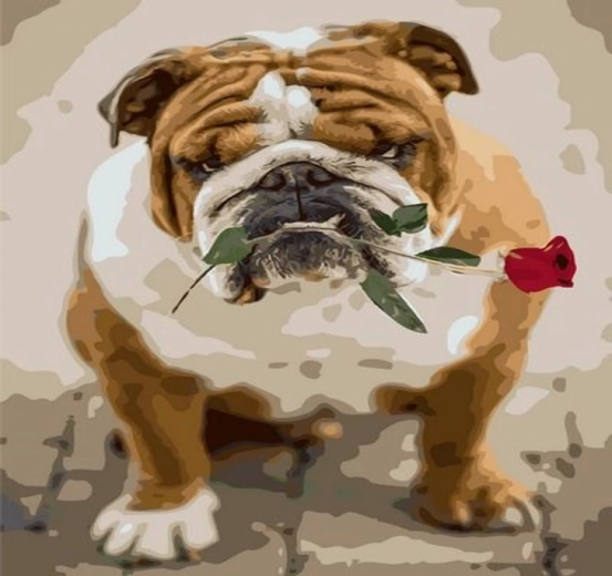 Norimpex Malen nach Zahlen Bulldogge mit Rose 40 × 50 cm