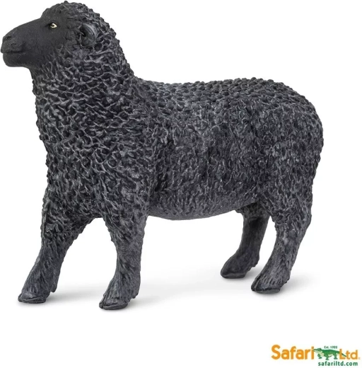 Schwarzes Schaf - 1 Stück
