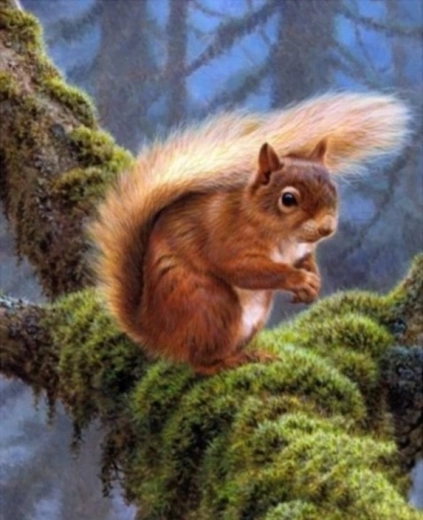 Diamantmalerei – Eichhörnchen auf dem Ast 30 × 40 cm