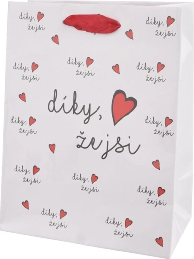 Papier-Geschenktüte „Danke, dass es dich gibt“ (18 × 10 × 23 cm)