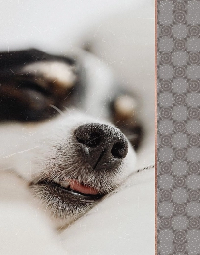 Fotoalbum CONCORDE für 64 Fotos 10 × 15 cm