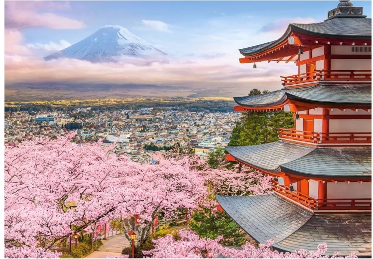 Castorland Puzzle Frühling in Japan 500 Teile