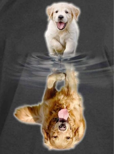 Diamantmalerei – Spiegelung – Hund 30 × 40 cm – 1 Stück