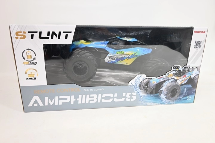 RC-Buggy (ferngesteuertes Auto) + Paket