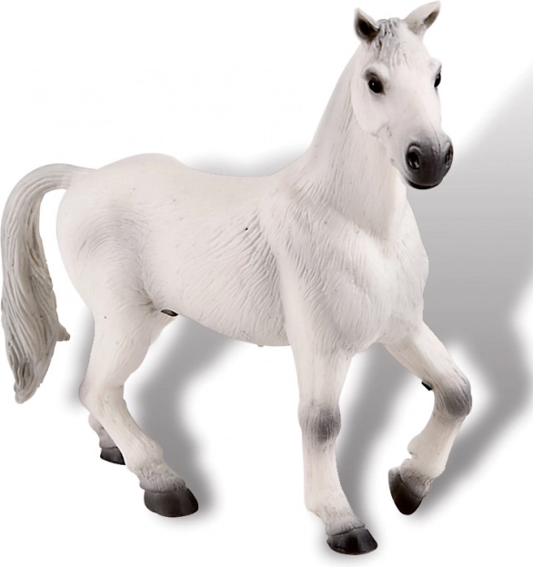 Oldenburger Wallach weiß